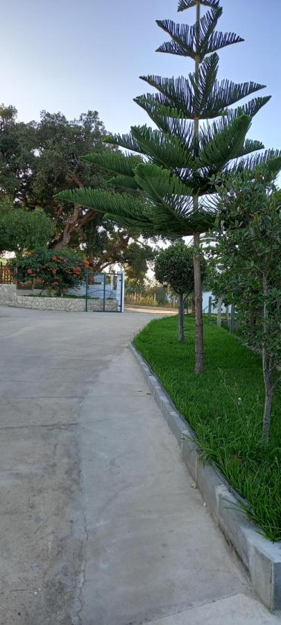 Monte Da Vinha Nova Villa Santiago do Cacém Exterior photo